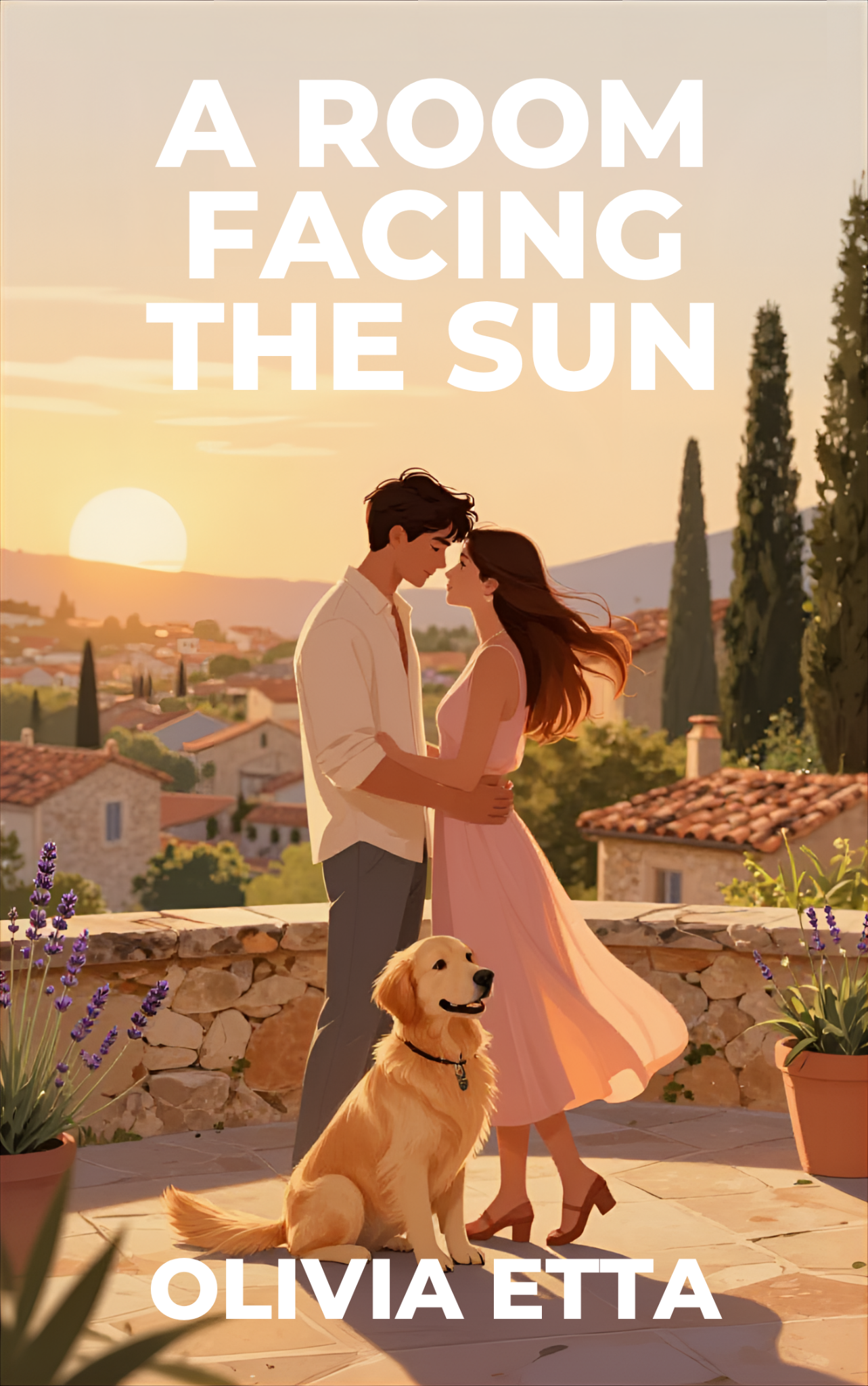 A Room Facing the Sun cover